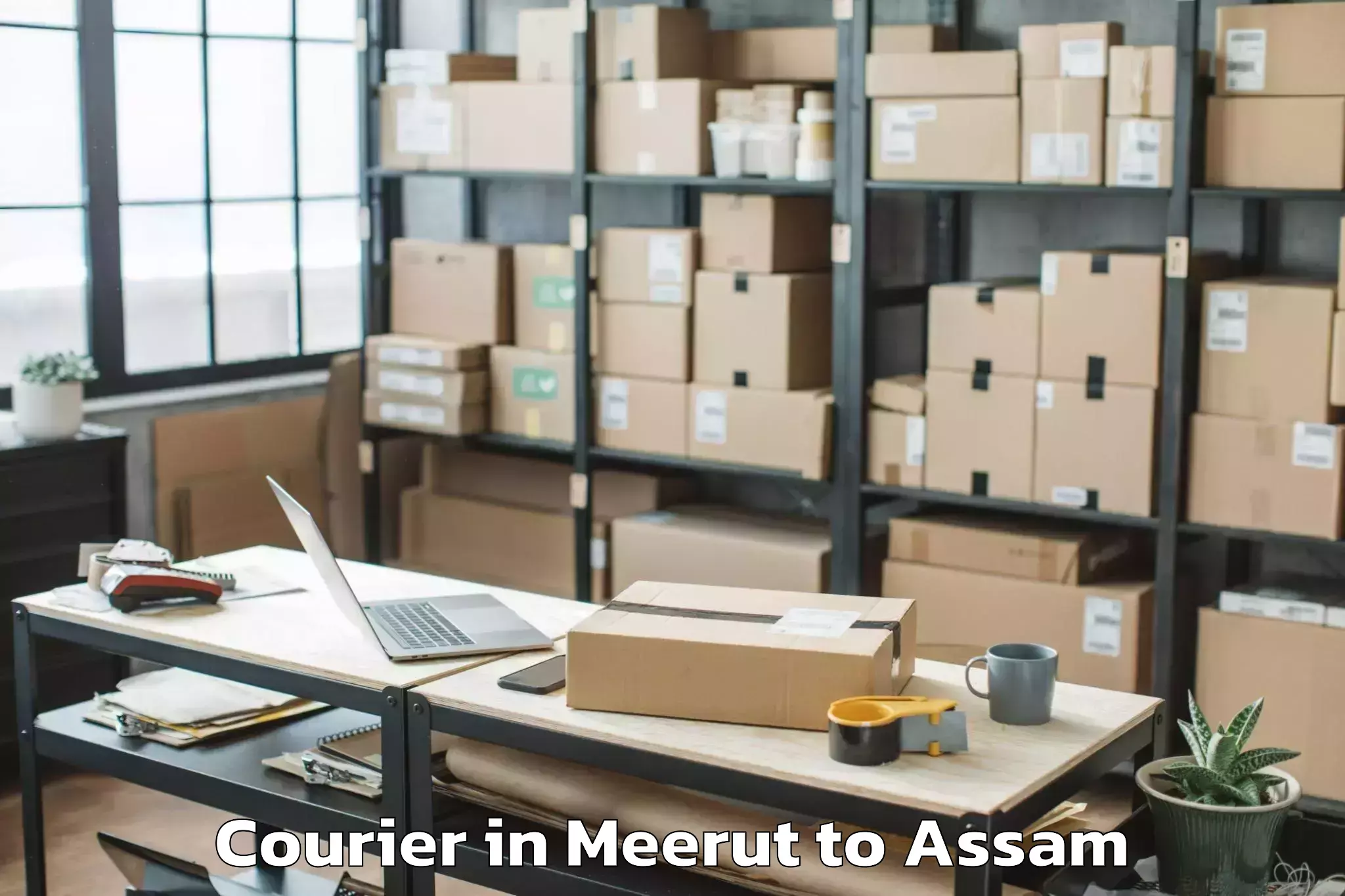 Reliable Meerut to Bihpuria Courier